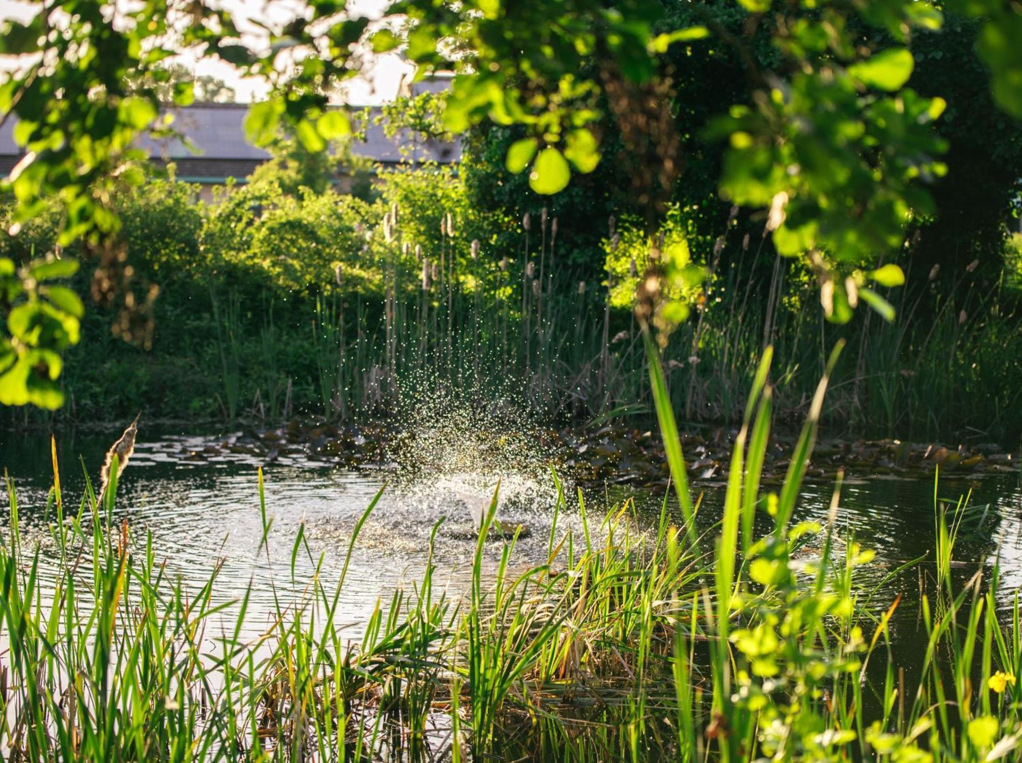 The Waterfront Hotel Spa & Golf Saint Neots Exteriör bild